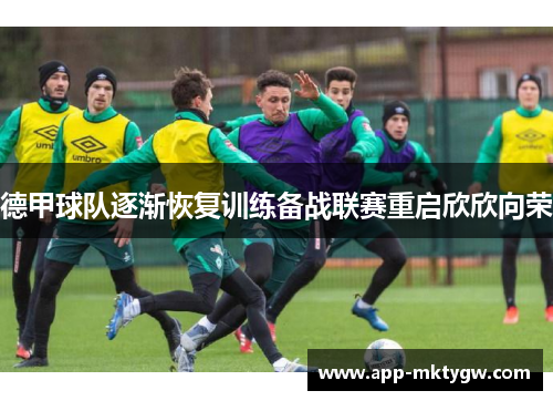 德甲球队逐渐恢复训练备战联赛重启欣欣向荣