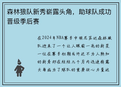 森林狼队新秀崭露头角，助球队成功晋级季后赛